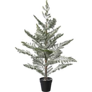 Kamerspar in pot, besneeuwd, kunststof pot, hoogte 100 cm