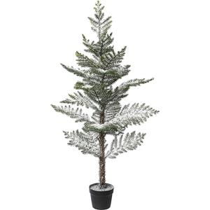 Kamerspar in pot, besneeuwd, kunststof pot, hoogte 128 cm