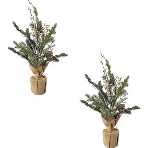 Dennen in jutezakken, 2 stuks, met bessen en dennenappels, hoogte 45 cm
