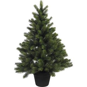 Kamerspar in pot, groen, hoogte 90 cm, 287 punten