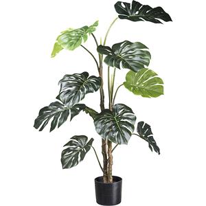 Philodendron met gespleten blad, kunststof pot, hoogte 1400 mm