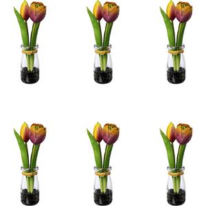 Tulpen in glazen vaas, hoogte 210 mm, VE = 6 stuks, mauve-geel