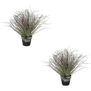 Gras in pot, ijzig, groen, VE = 2 stuks, hoogte 450 mm