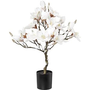 Magnoliaboom, besneeuwd, in kunststof pot, wit, totale hoogte 580 mm