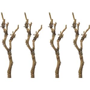 Tak met korstmos, VE = 4 stuks, totale hoogte 610 mm