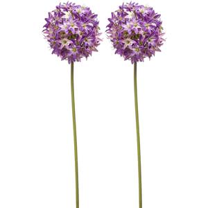 Emerald Allium/Sierui kunstbloem - 2x - losse steel - paars - 60 cm - Natuurlijke uitstraling -