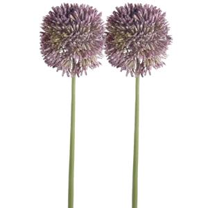 Emerald Allium/Sierui kunstbloem - 2x - losse steel - lila paars - 65 cm - Natuurlijke uitstraling -