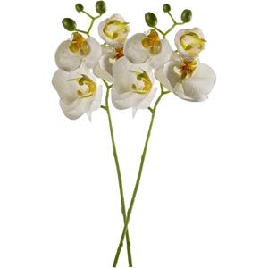 Emerald Kunstbloem Orchidee - 2x - 56 cm - wit - losse tak - kunst zijdebloem - Phalaenopsis -