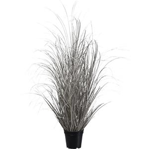 Gras in pot, totale hoogte 930 mm, champagne