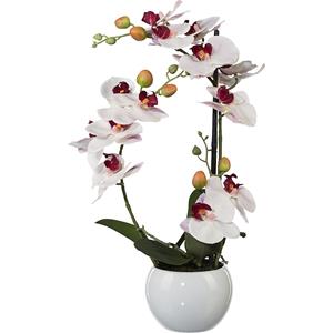 Phalaenopsis, hoogte 420 mm, in een keramieken pot, bloemen roze, 3D-print