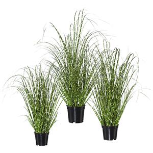 Grasplant, miscanthus zebrinus, VE = 3 stuks, hoogte 420 mm