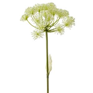 Emerald Kunstbloem Berenklauw - 78 cm - wit - losse tak - kunst zijdebloem - Heracleum -
