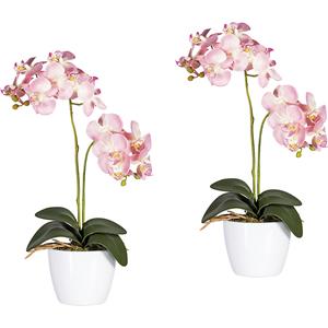 Phalaenopsis in een witte pot van keramiek, hoogte 500 mm, VE = 2 stuks, bloemen roze