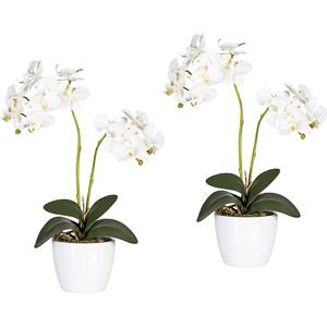 Phalaenopsis in een witte pot van keramiek, hoogte 500 mm, VE = 2 stuks, bloemen wit