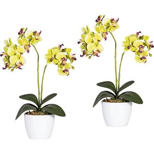 Phalaenopsis in een witte pot van keramiek, hoogte 500 mm, VE = 2 stuks, bloemen groen