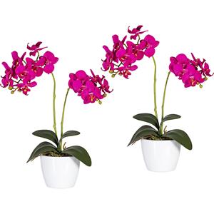Phalaenopsis in een witte pot van keramiek, hoogte 500 mm, VE = 2 stuks, bloemen orchid