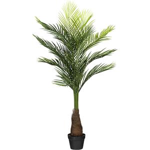 Goudpalm, in een kunststof pot, zwart, hoogte 1400 mm, met aarde