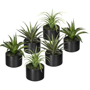 Aloë, Agave, Tillandsia, in een keramische pot, VE = 6 stuks, hoogte 250 mm, 3 verschillende planten