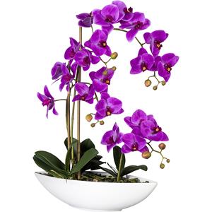 Phalaenopsis, in een keramische schaal, lila, hoogte 600 mm
