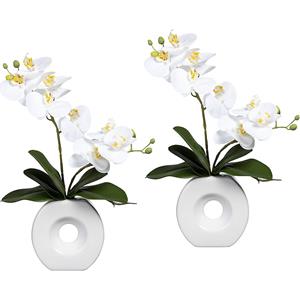 Phalaenopsis, real touch, in een keramieken vaas, VE = 2 stuks, wit