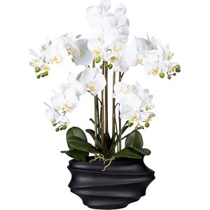 Phalaenopsis, real touch, hoogte 750 mm, wit, kunststof vaas zwart