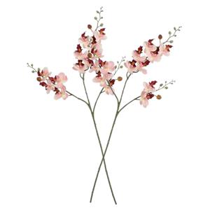 Mica Decorations Kunstbloem Orchidee tak - 2x - lichtroze - 75 cm - Kunst zijdebloemen -