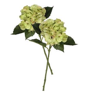 Mica Decorations Kunstbloem Hortensia tak - 2x - groen - 51 cm - losse steel - Kunst zijdebloemen -