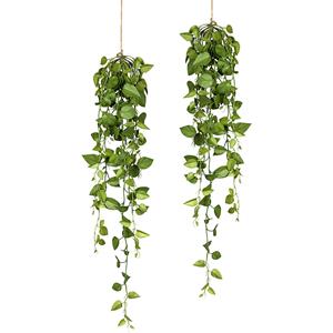 Philodendron hangplant, 2-delige set, lengte 950 mm