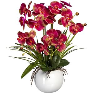 Phalaenopsis in een keramische pot, hoogte 580 mm, pink