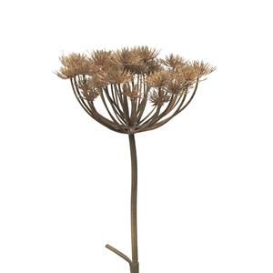 Bellatio Design Kunstbloem/kunsttak Berenklauw/heracleum - cm - losse steel - kunst zijdebloem takken -