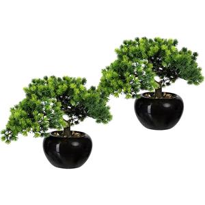 Bonsai lariks, bak-Ø 150 mm, VE = 2 stuks, hoogte 260 mm