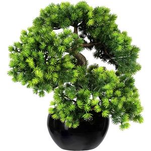 Bonsai lariks, met grind, in een keramieken pot, zwart, hoogte 370 mm, pot 150 x 90 mm