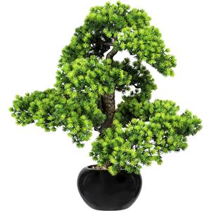 Bonsai lariks, met grind, in een keramieken pot, zwart, hoogte 600 mm, pot 200 x 120 mm