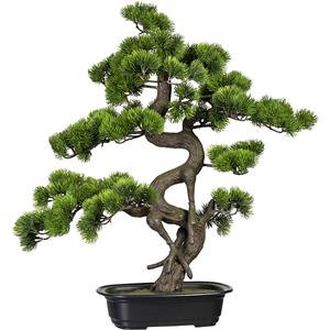 Bonsai den, in een kunststof schaal, hoogte 650 mm, schaal 270 x 190 x 40 mm