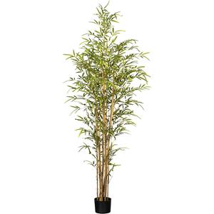 Bamboe natuurlijke stam, kunststofpot 150 x 120 mm, hoogte 1800 mm
