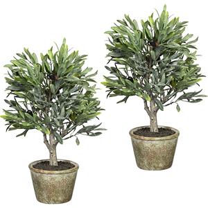 Olijfboompje, VE = 2 stuks, met 7 olijven, hoogte 370 mm, natuurlijke pot 115 x 85 mm