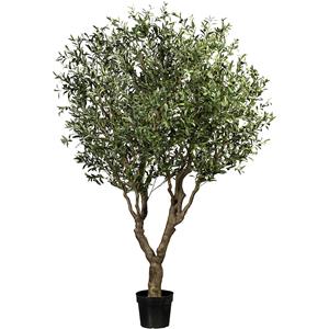 Olijfboom, 12 twijgen, pot 280 x 230 mm, hoogte 2400 mm