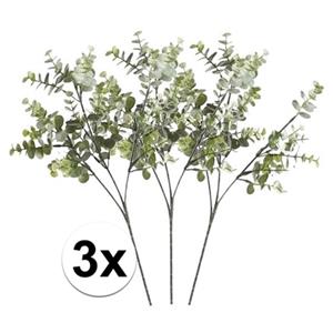 Bellatio flowers & plants Kunstbloem/kunsttak Eucalyptus Cinera - 3x - 65 cm - losse steel - kunst zijdebloemen -