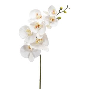 Emerald Kunstbloem Orchidee - 83 cm - wit - losse tak - kunst zijdebloem - Phalaenopsis -