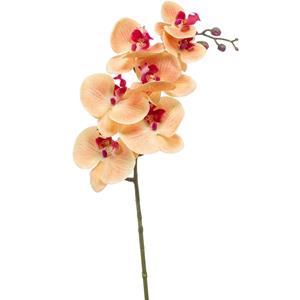 Emerald Kunstbloem Orchidee - 83 cm - zalm kleurig - losse tak - kunst zijdebloem - Phalaenopsis -