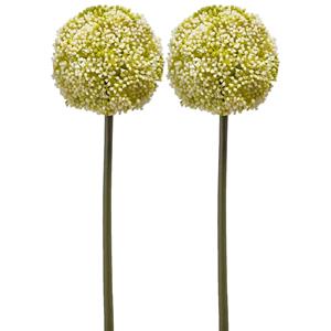 Emerald Allium/Sierui kunstbloem - 2x - losse steel - wit/groen - 75 cm - Natuurlijke uitstraling -