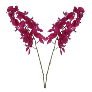 Mica Decorations Kunstbloem Orchidee tak - 2x - diep roze - 71 cm - losse steel - Kunst zijdebloemen -
