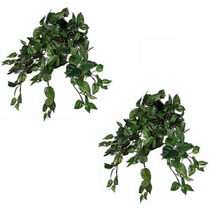 Mica Decorations 2x stuks scindapsus Drakenklimop kunstplanten groen L45 x B25 x H25 cm hangplant -