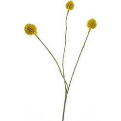 Nova nature Craspedia spray yellow 58 cm kunstbloem - 