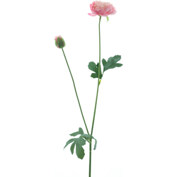 Nova nature New ranunculus spray Flaine pink 55 cm kunstbloem - 