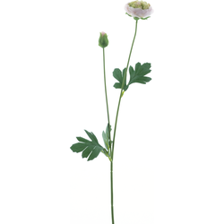 Nova nature New ranunculus spray Flaine lt pink 55 cm kunstbloem - 