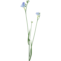 Nova nature Freesia spray blue 76 cm kunstbloem - 