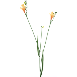 Nova nature Freesia spray orange 76 cm kunstbloem - 