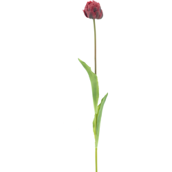 Nova nature PSO Tulip spray Paris Sally red 79 cm kunstbloem - 