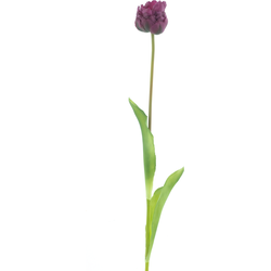 Nova nature PSO Tulip spray Paris Sally purple 79 cm kunstbloem - 